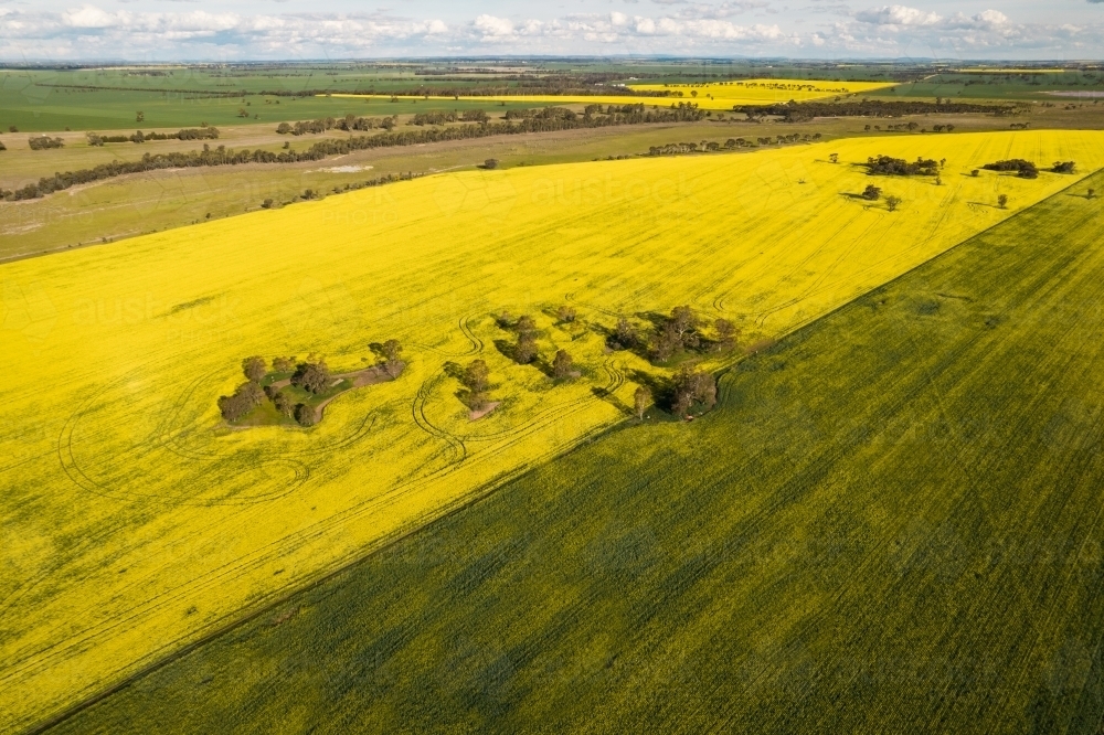 aerial shot of a big open field - Australian Stock Image