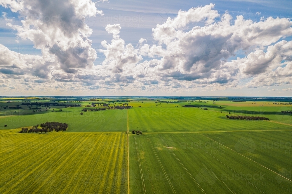 aerial shot of a big open field under cloudy blue skies - Australian Stock Image