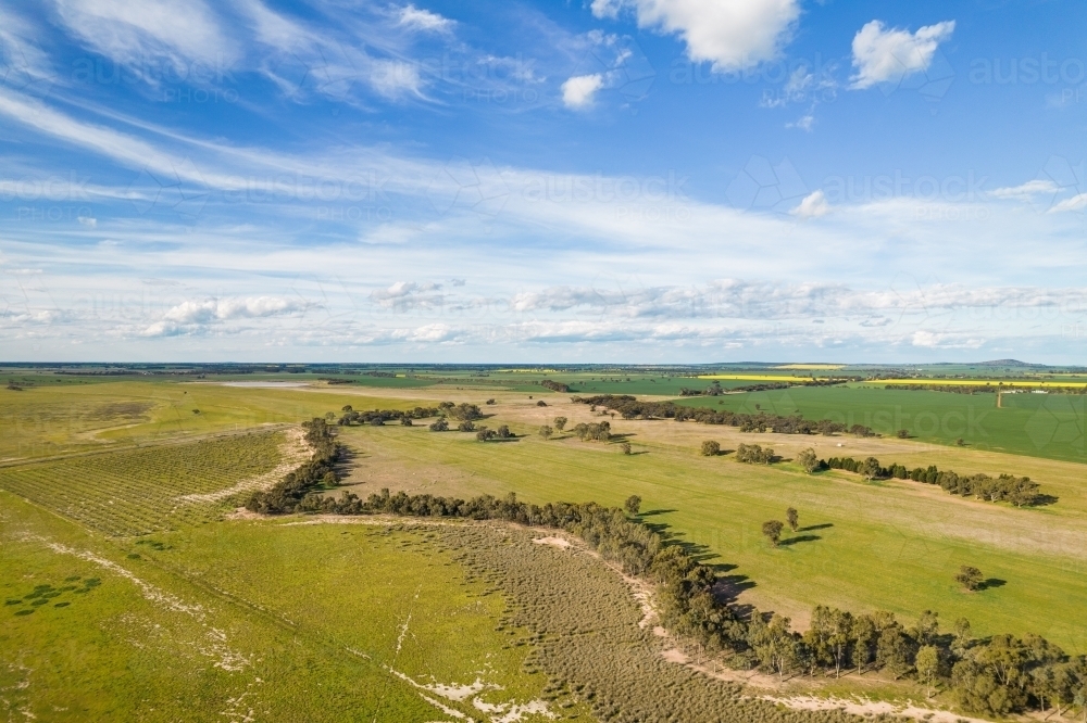 aerial shot of a big open field with trees under blue skies - Australian Stock Image