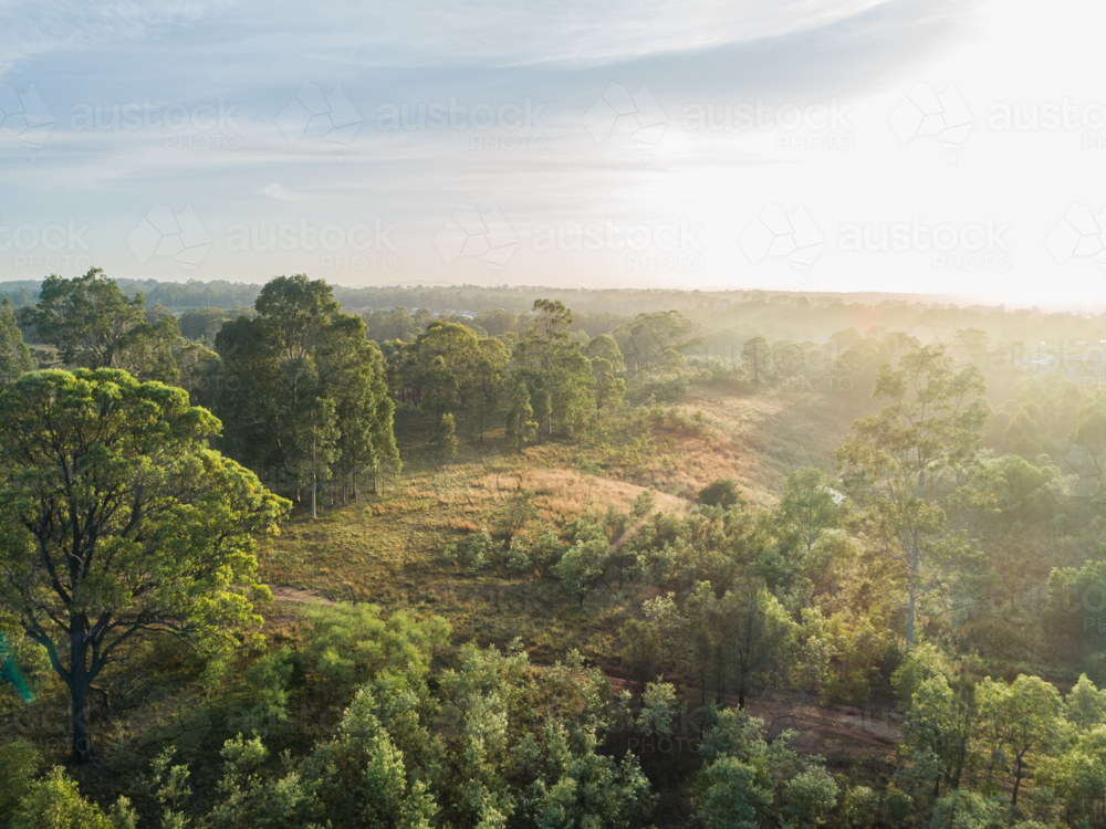 Aerial view hazy morning light over bushland and gum trees in Hunter Valley - Australian Stock Image