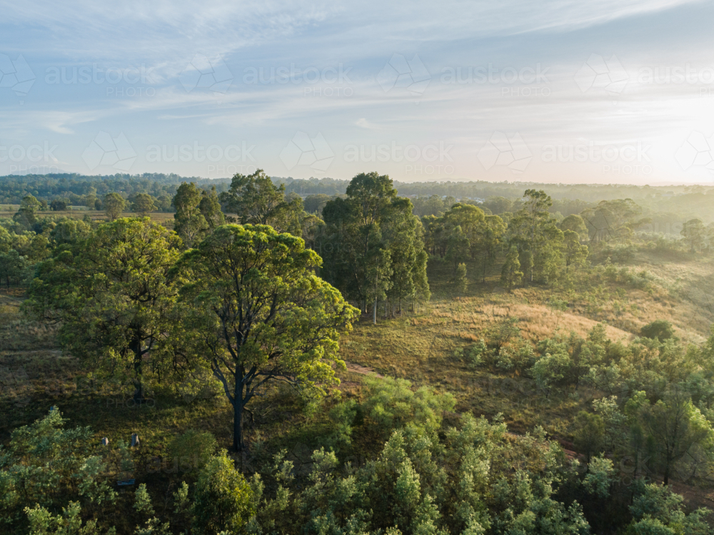 Aerial view hazy morning light over bushland and gum trees in Hunter Valley - Australian Stock Image