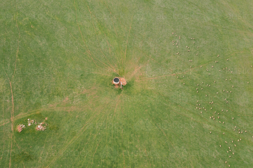 Aerial view of a farm with grazing livestock on the field. - Australian Stock Image