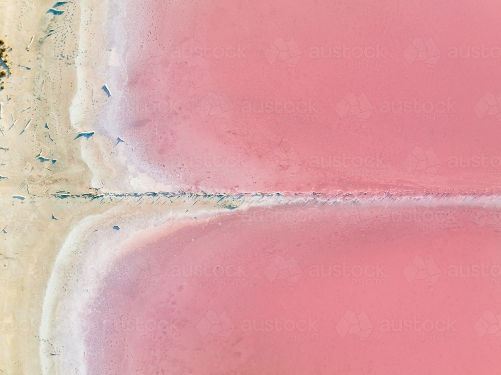 Aerial view of a fence line running from the shoreline into a pink salt lake - Australian Stock Image