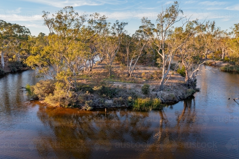 Aerial view of a hairpin bend in a murky river lined with gumtrees - Australian Stock Image