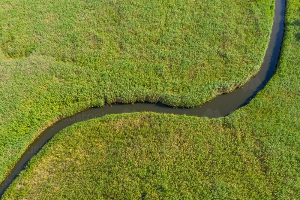 Aerial view of a narrow creek winding through lush green reeds - Australian Stock Image