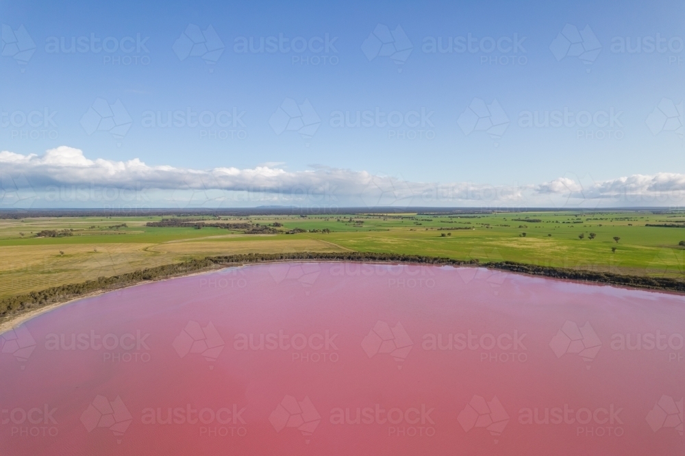 Aerial view of a natural phenomenon of a pink lake. - Australian Stock Image