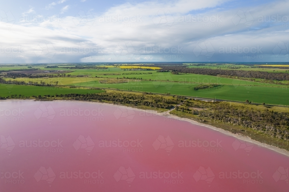 Aerial view of a natural phenomenon of a pink lake. - Australian Stock Image