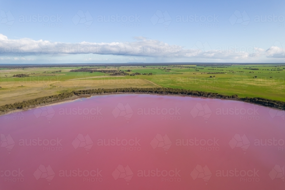 Aerial view of a natural phenomenon of a pink lake. - Australian Stock Image