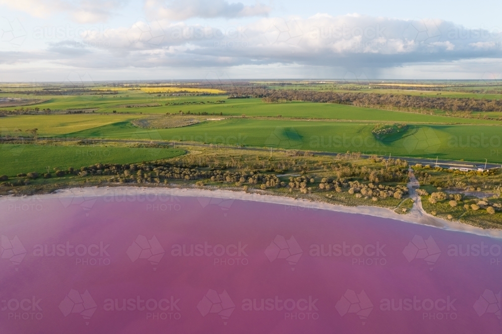 Aerial view of a natural phenomenon of a pink lake. - Australian Stock Image