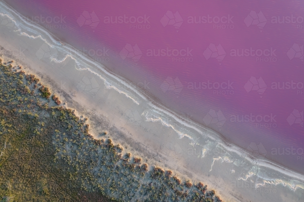 Aerial view of a natural phenomenon of a pink lake. - Australian Stock Image