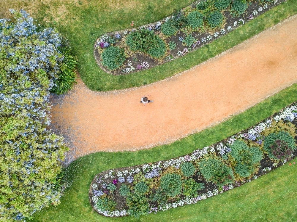 Aerial view of a runner on a garden path lined with flower beds - Australian Stock Image