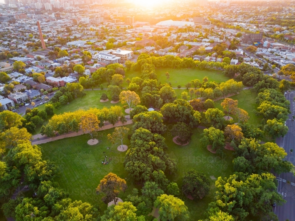 Aerial view of an inner city park and surrounding suburb in late afternoon light - Australian Stock Image