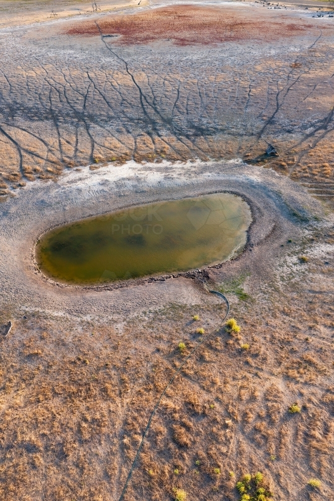 Aerial view of arid farmland with cattle tracks leading to a small waterhole - Australian Stock Image