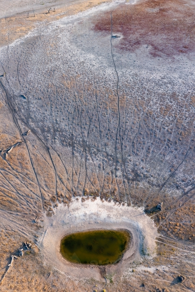 Aerial view of arid farmland with cattle tracks leading to a small waterhole - Australian Stock Image