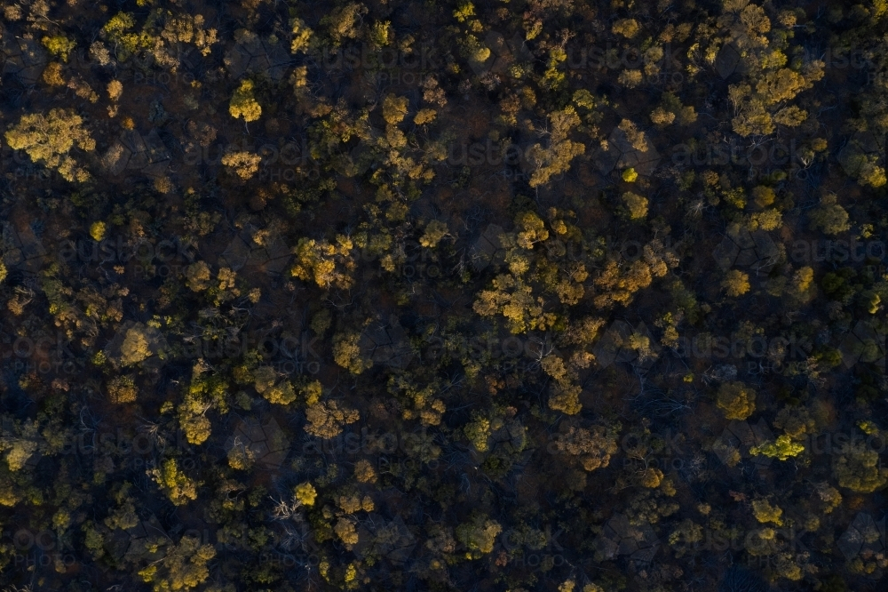 Aerial view of Australian bush on a hill covered in deep shadow - Australian Stock Image