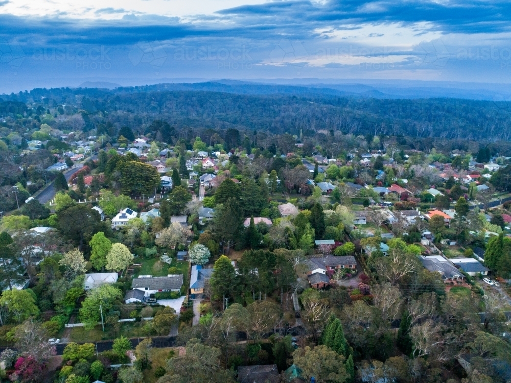 Image of aerial view of Blackheath streets and houses in spring near ...