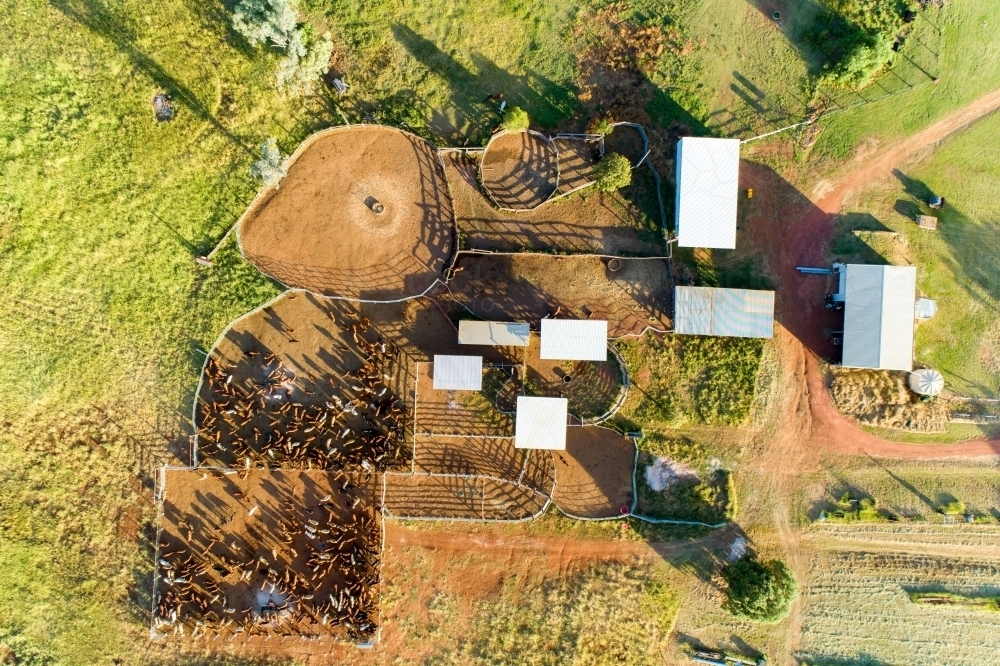 Aerial view of cattle yards and sheds. - Australian Stock Image