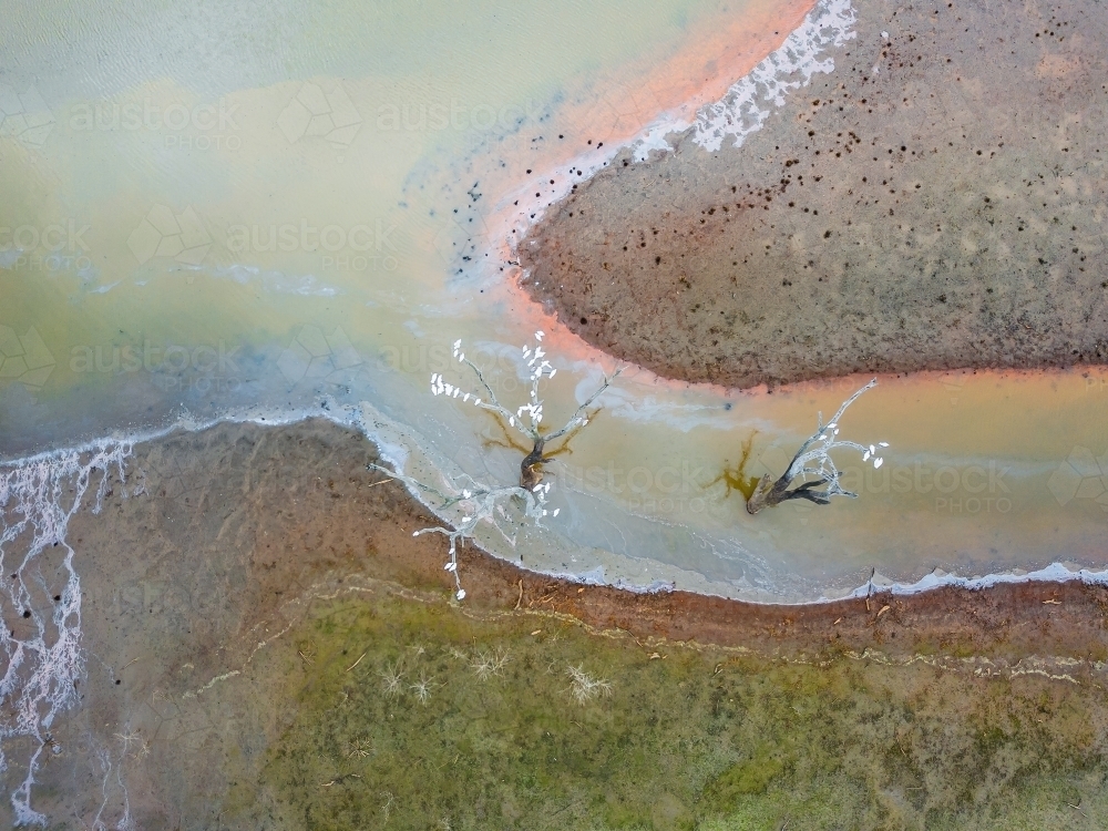 Aerial view of dead trees in a creek feeding into a river - Australian Stock Image