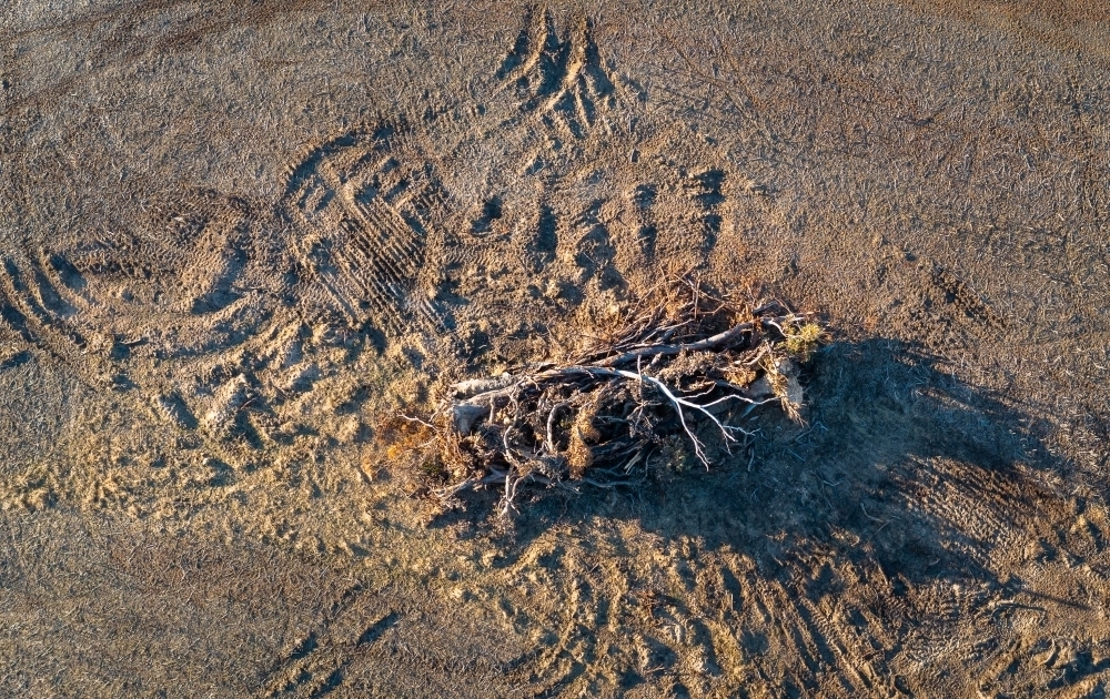 aerial view of fallen dead tree pushed into a pile ready to burn - Australian Stock Image