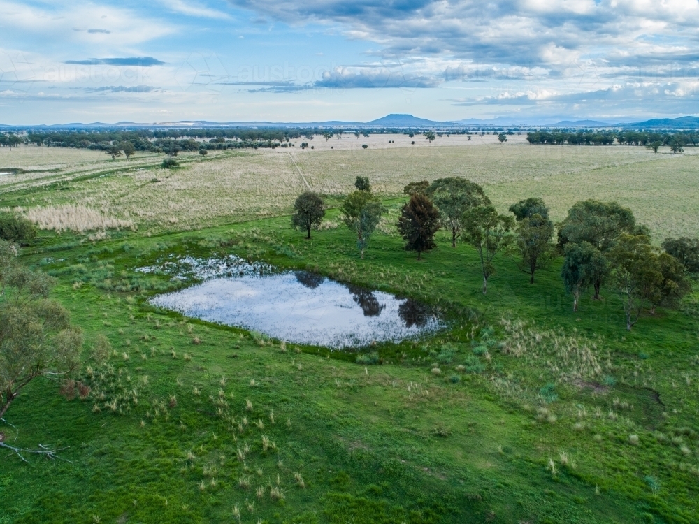 Aerial view of farm dam surrounded by eucalyptus gum trees and green paddock - Australian Stock Image