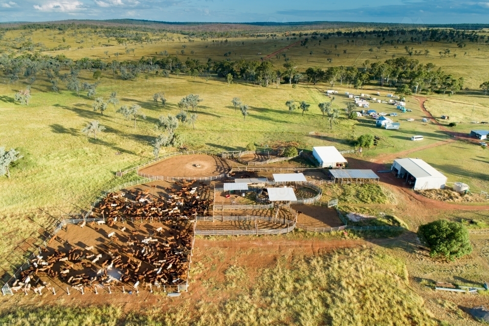 Image Of Aerial View Of Farm Homestead And Cattle Yards Austockphoto