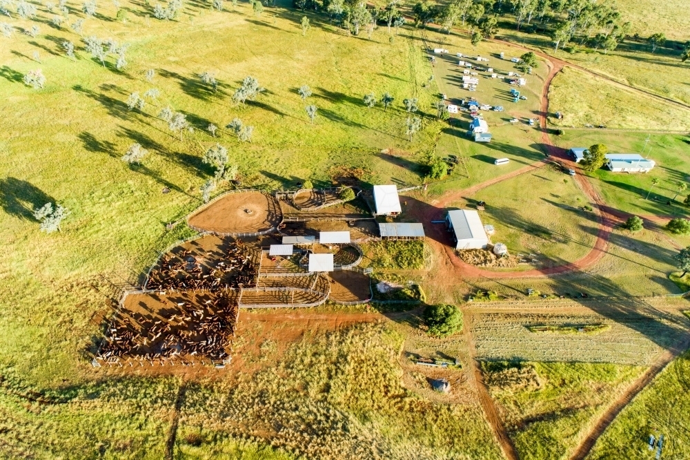 Image of Aerial view of farm homestead, cattle yards, and camp sites ...