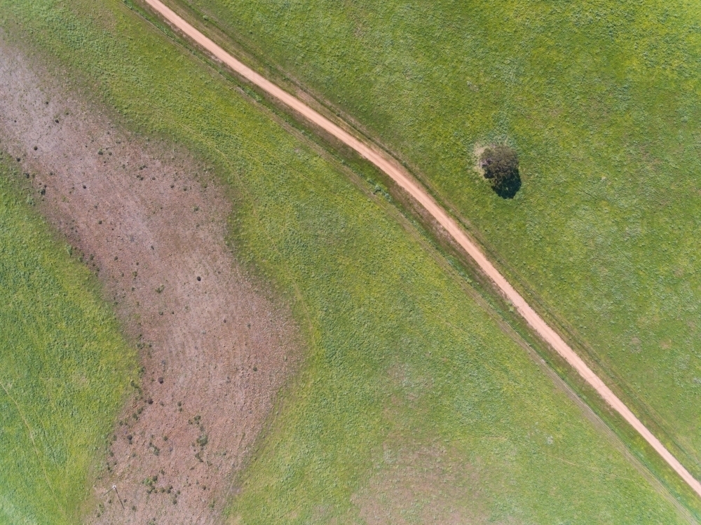 Aerial view of farmland with one tree and track - Australian Stock Image