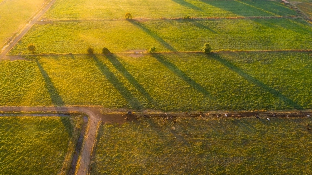 Aerial view of golden sunshine casting long shadows over farmland - Australian Stock Image