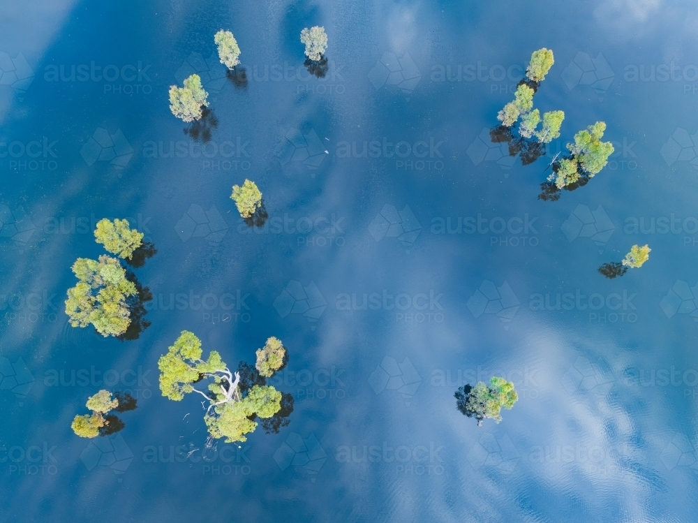 Aerial view of gum trees and flooded farmland with reflections of the sky above - Australian Stock Image