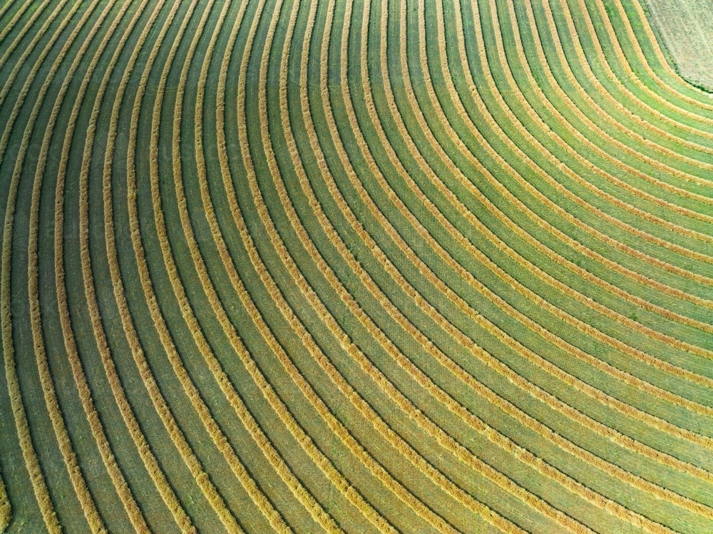 Aerial view of harvester lines and patterns in a rural paddock - Australian Stock Image