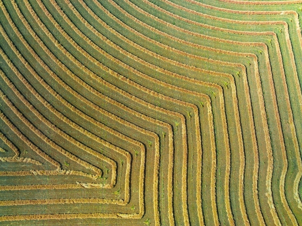 Aerial view of harvester lines and patterns in a rural paddock - Australian Stock Image