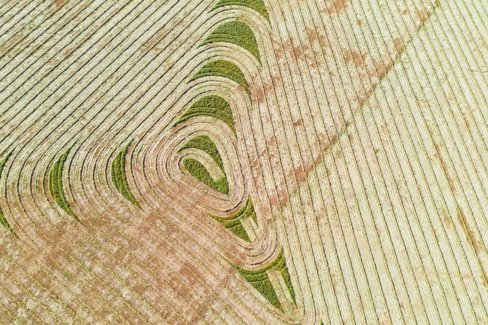 Aerial view of harvesting patterns in an empty paddock - Australian Stock Image