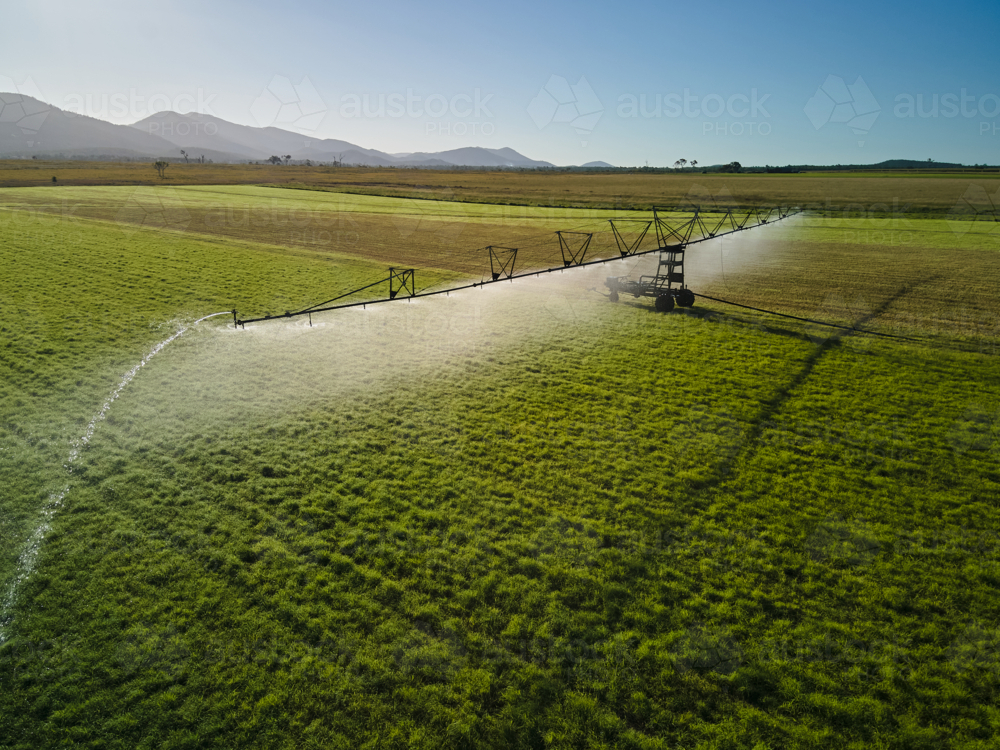 Aerial view of irrigator watering grass for fodder. - Australian Stock Image