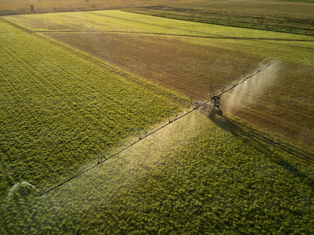 Aerial view of irrigator watering grass for fodder. - Australian Stock Image