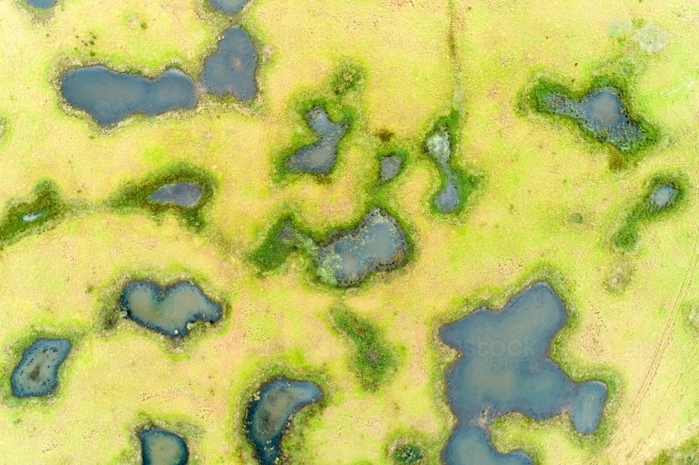 Aerial view of melon holes and wetlands. - Australian Stock Image