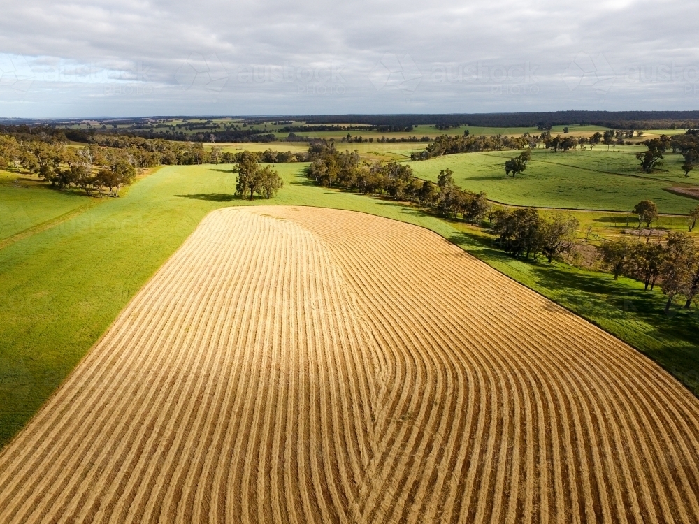 Aerial view of mown hay on a farming property - Australian Stock Image