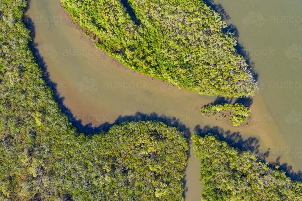 Aerial view of murky waterways cutting through lush green coastal mangrove forests - Australian Stock Image