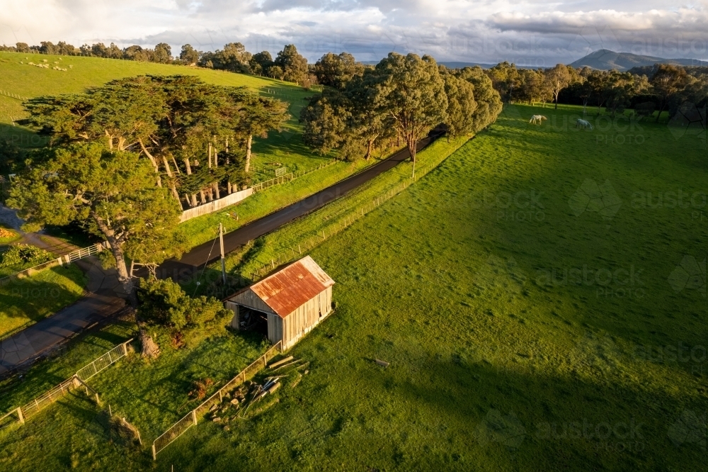 Aerial View of Old Shed on Green Farmland - Australian Stock Image