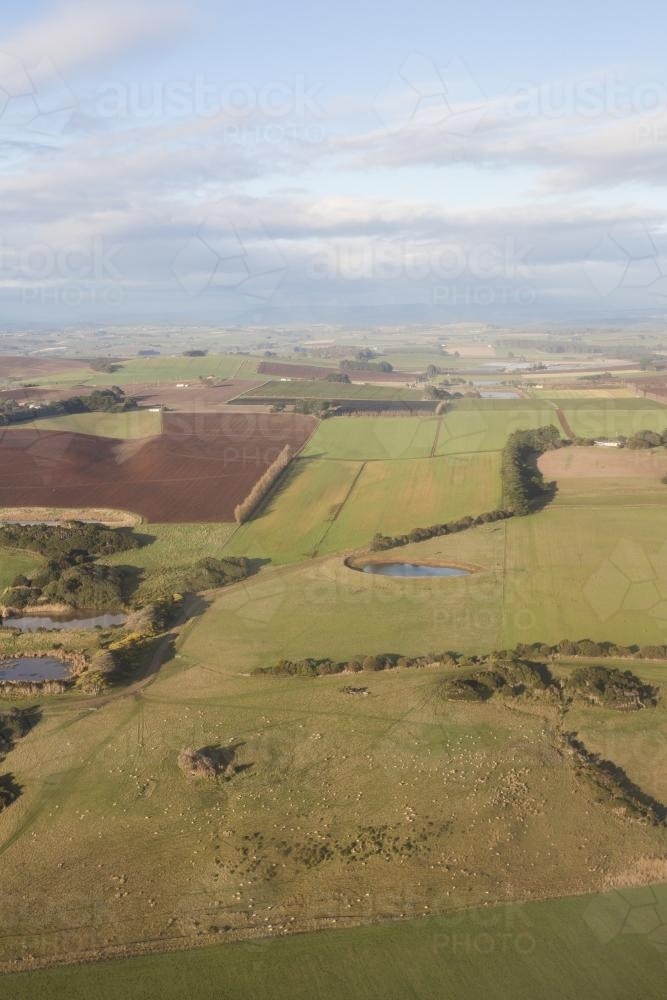 aerial view of paddocks, devonport, tasmania - Australian Stock Image