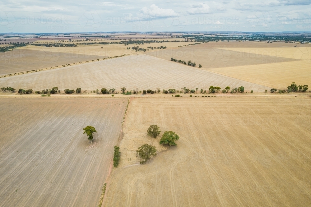 Aerial view of paddocks leading off into the distance in the Mallee. - Australian Stock Image