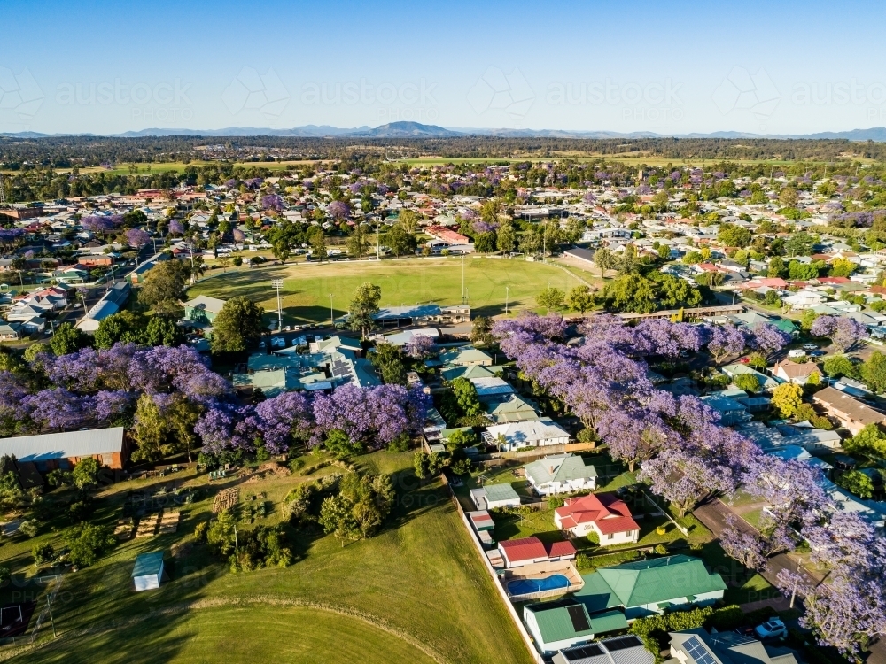 aerial view of park, community gardens, and sunlit showground - Australian Stock Image