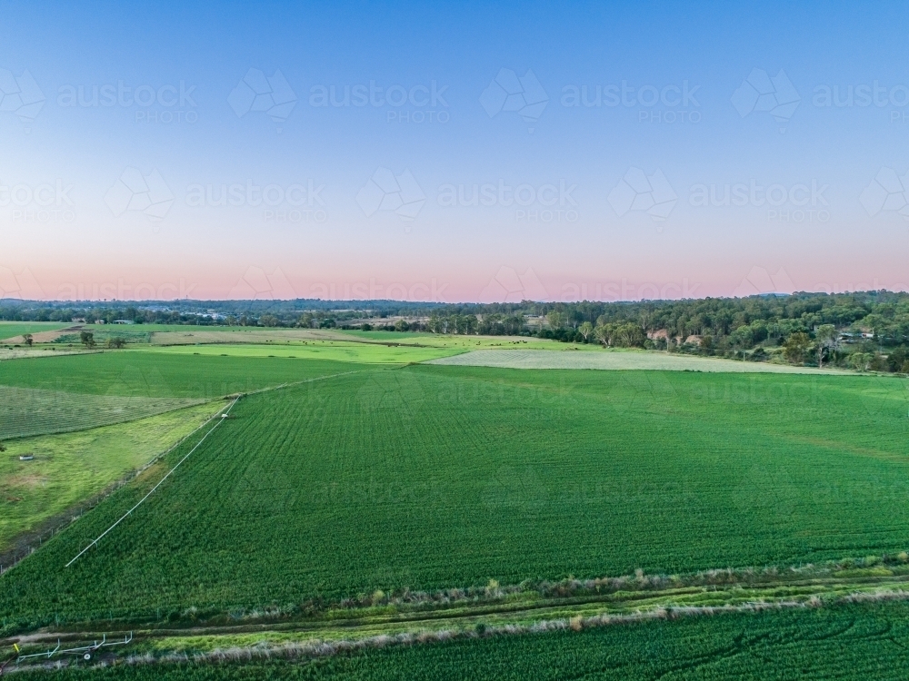 Aerial view of pastel dusk sky above lush green lucerne crop paddock - Australian Stock Image