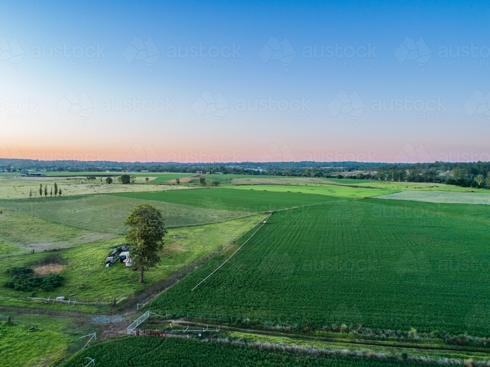 Aerial view of pastel dusk sky above lush green lucerne crop paddock - Australian Stock Image