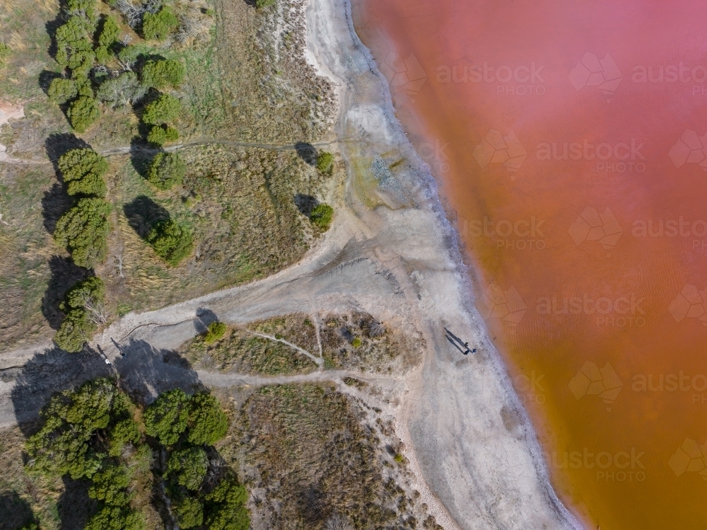 Aerial view of people walking on the crusty shoreline of a section of a colourful pink salt lake - Australian Stock Image