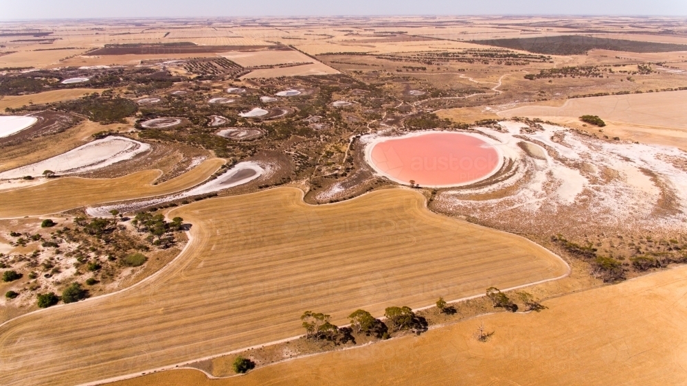 Aerial view of pink salt lake in summer - Australian Stock Image