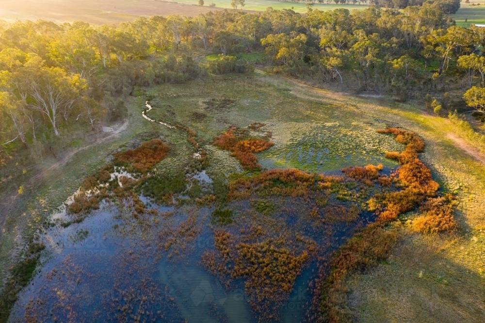 Aerial view of the creek winding into a wetland in late afternoon sunshine - Australian Stock Image