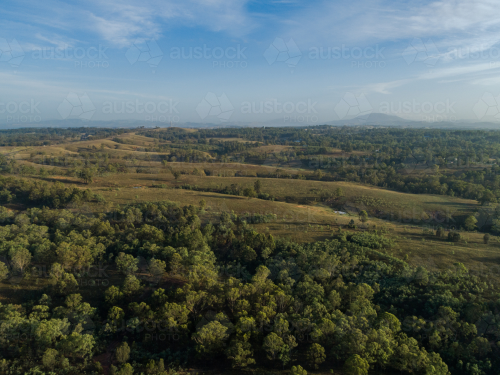 aerial view of trees undulating hills in rural country paddock in Singleton, Hunter Valley, NSW - Australian Stock Image