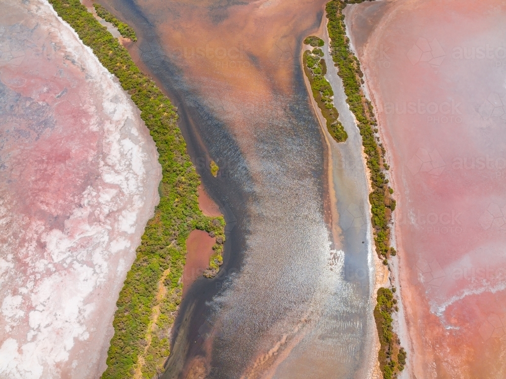 Aerial view of wetlands with colourful vegetation and dry salt lakes - Australian Stock Image