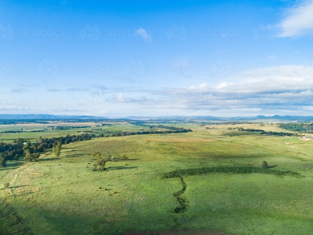 Aerial view over green land of farm paddocks in morning light during good season - Australian Stock Image