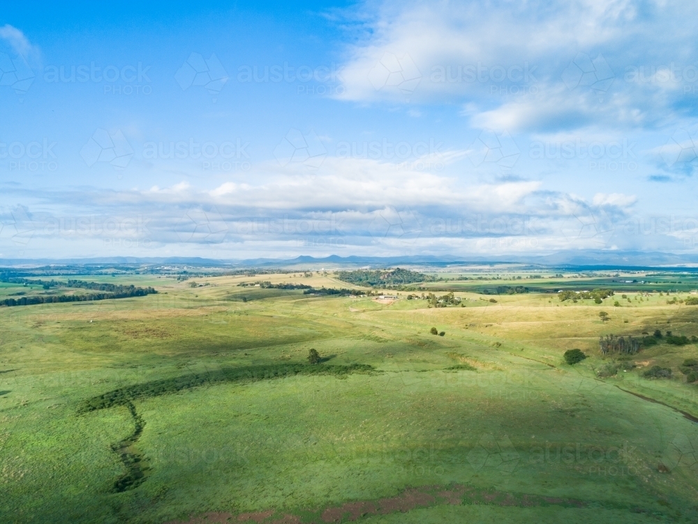 Aerial view over green land of farm paddocks in morning light during good season - Australian Stock Image